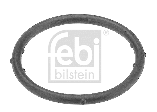 Gasket, coolant flange (18766)