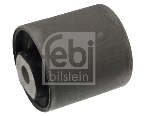 Mounting, control/trailing arm (100354)