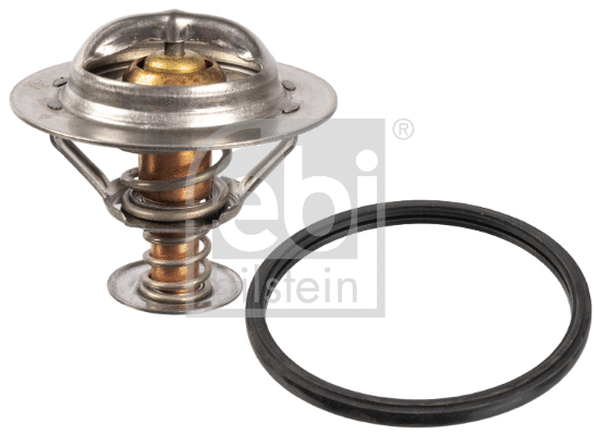 Thermostat, coolant (172246)