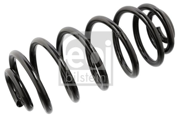 Suspension Spring (104709)