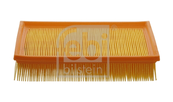 Air Filter (31173)