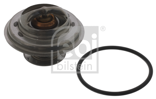 Thermostat, coolant (01598)