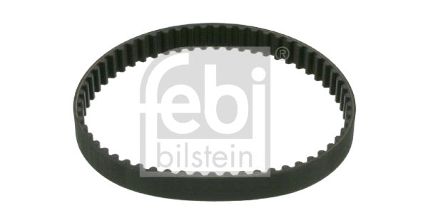 Timing Belt (21768)