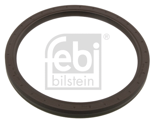 Shaft Seal, crankshaft (11587)