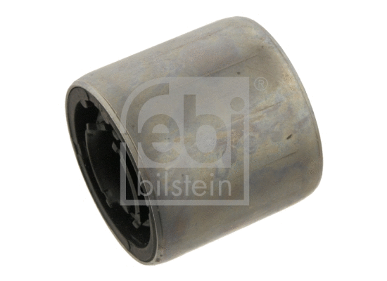 Mounting, control/trailing arm (30919)