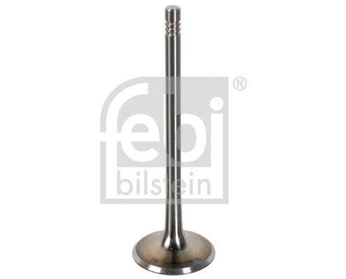 Intake Valve (181076)