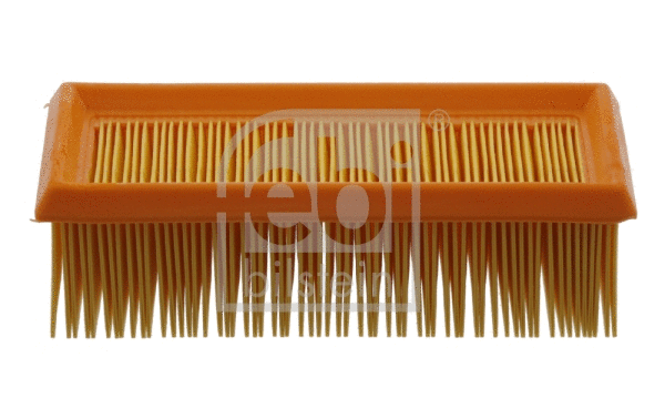 Air Filter (30988)