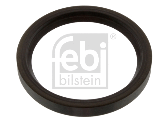 Shaft Seal, differential (40077)