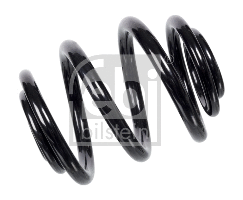 Suspension Spring (47230)
