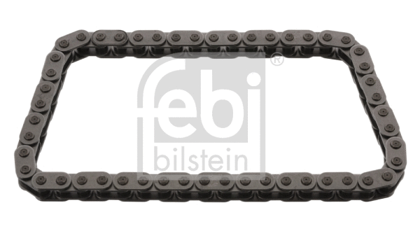 Timing Chain (25360)