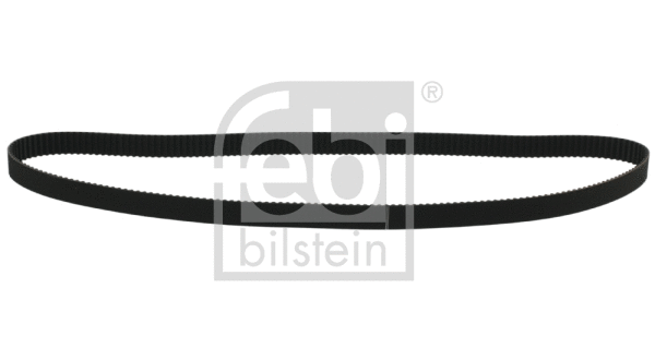 Timing Belt (23419)