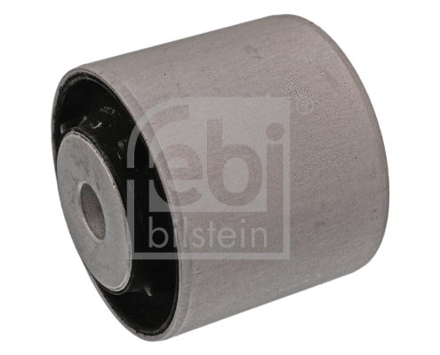 Mounting, differential (49222)