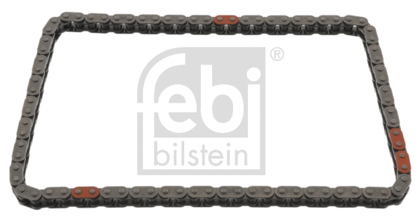 Timing Chain (49770)
