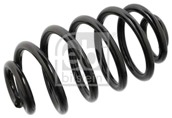 Suspension Spring (104713)