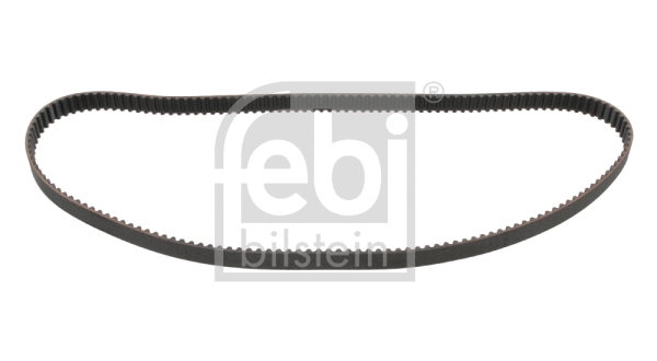 Timing Belt (17479)