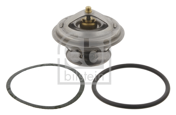 Thermostat, coolant (18017)