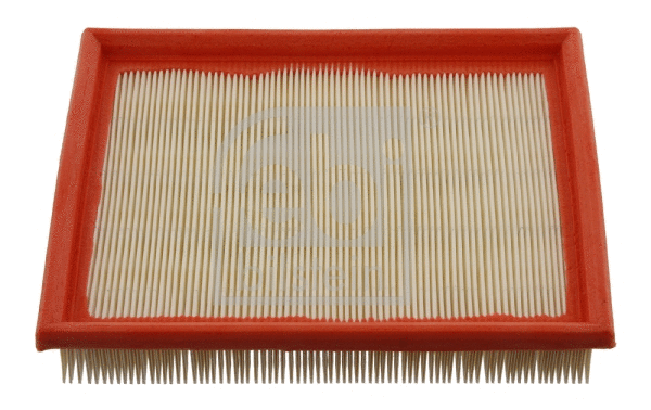 Air Filter (30355)