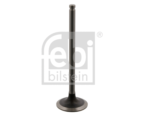 Intake Valve (34385)
