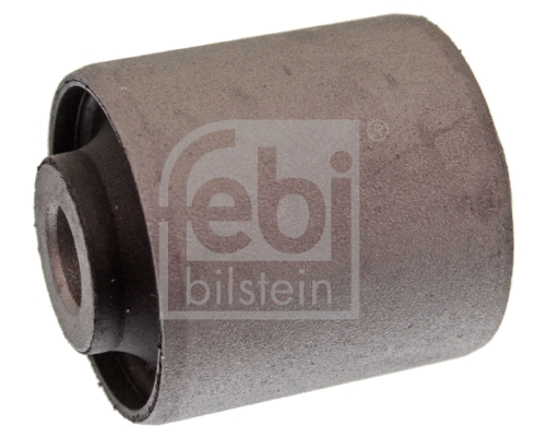 Mounting, control/trailing arm (42005)