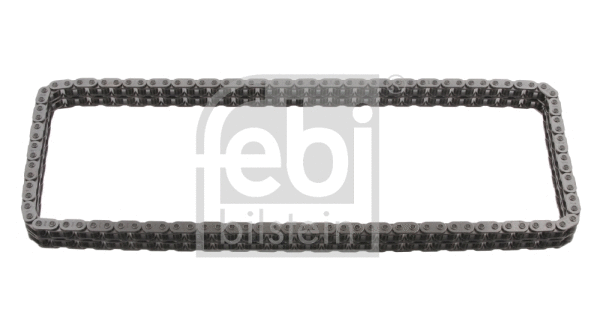 Timing Chain (25209)