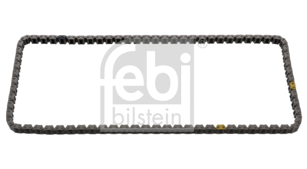 Timing Chain (100629)
