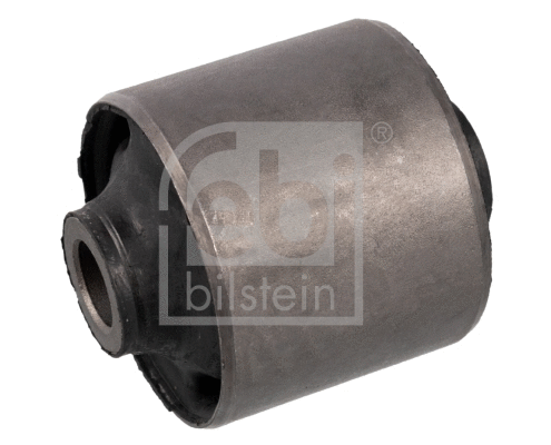 Mounting, control/trailing arm (10291)