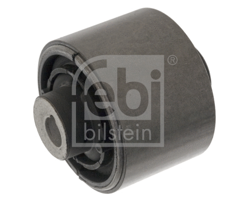 Mounting, control/trailing arm (100386)