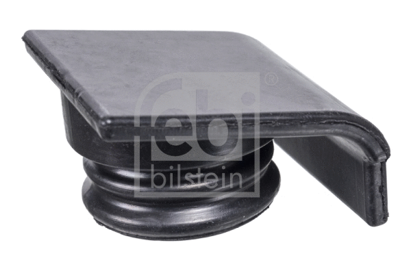 Sealing Cap, oil filler neck (14337)