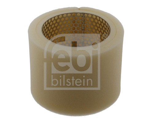 Air Filter (30997)