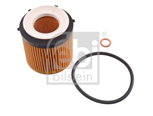 Oil Filter (101655)