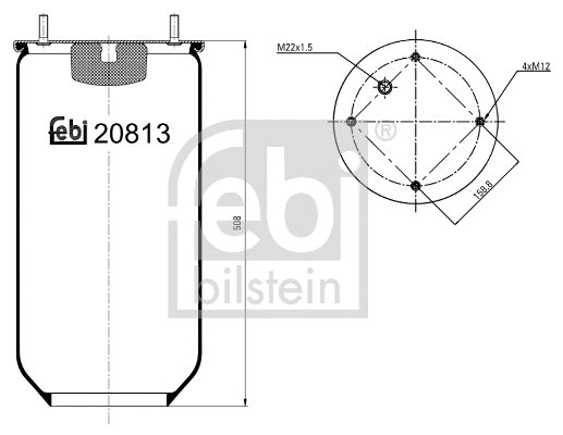 Bellow, air suspension (20813)