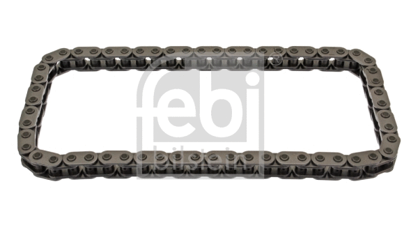 Timing Chain (39960)