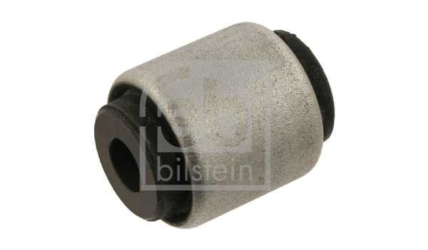Mounting, control/trailing arm (30494)