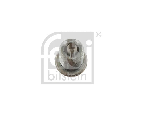 Spark Plug