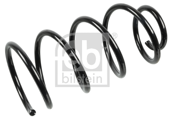 Suspension Spring (173886)