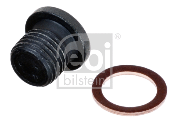Screw Plug, oil sump (171173)