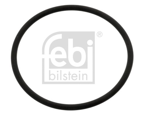 Seal Ring, steering knuckle (10558)
