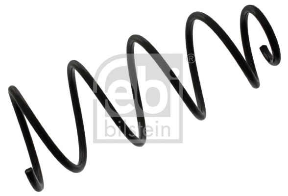 Suspension Spring (38581)