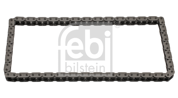 Timing Chain (40274)