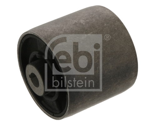 Mounting, control/trailing arm (39191)