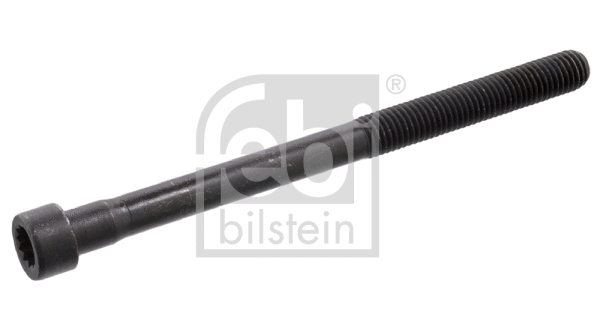 Cylinder Head Bolt (10179)