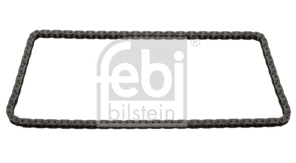 Timing Chain (49500)