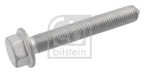 Fastening Bolt, control arm (173406)