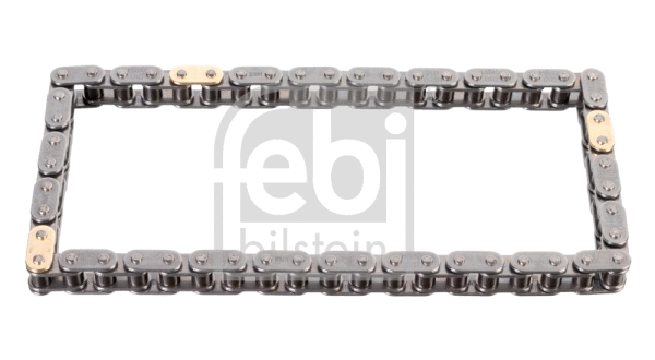 Timing Chain (109536)