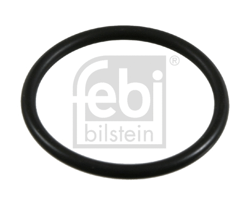 Gasket, crankcase ventilation (21065)