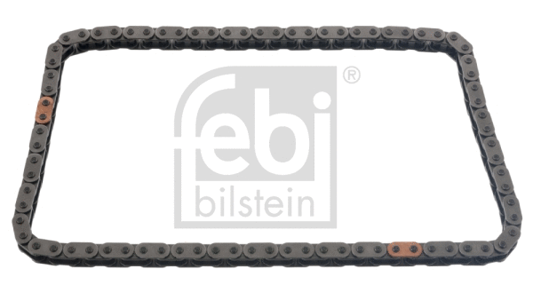 Timing Chain (48573)