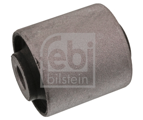 Mounting, control/trailing arm (41994)