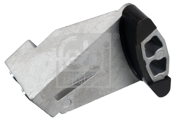 Guide, timing chain (24919)