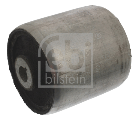 Mounting, control/trailing arm (40497)