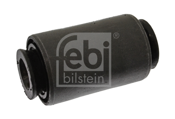 Mounting, control/trailing arm (10292)